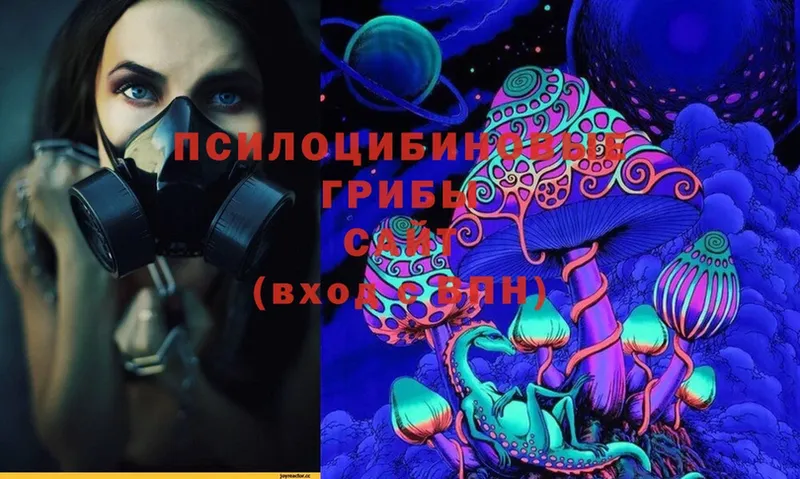 Галлюциногенные грибы Cubensis  Югорск 